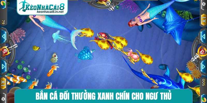 Bắn Cá Đổi Thưởng - Top 10 Game Uy Tín Nhất Hiện Nay Bắn cá đổi thưởng xanh chín cho ngư thủ