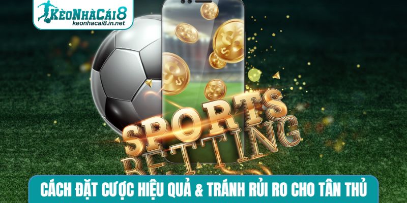 Cách đặt cược hiệu quả & tránh rủi ro cho tân thủ
