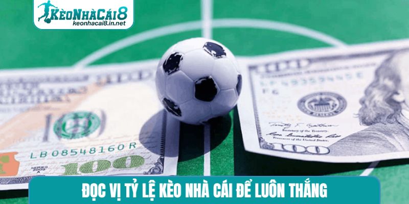 Tỷ Lệ Kèo Nhà Cái - 3 Cách Đọc Kèo Chuẩn Chính Nhất Đọc vị tỷ lệ kèo nhà cái để luôn thắng