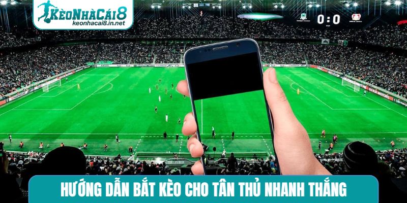 Hướng dẫn bắt kèo cho tân thủ nhanh thắng