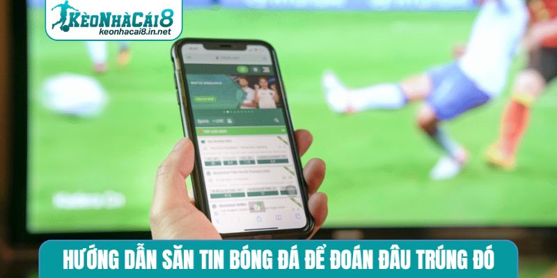 Hướng dẫn săn tin bóng đá để đoán đâu trúng đó