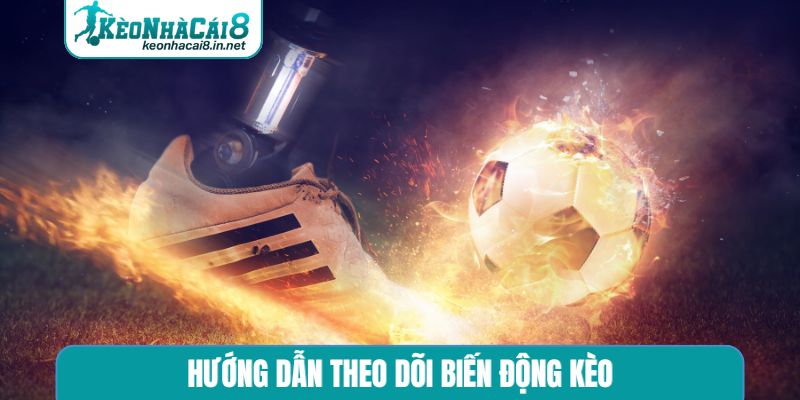 Theo Dõi Biến Động Kèo - Chìa Khóa Chinh Phục Cá Cược Hướng dẫn theo dõi biến động kèo