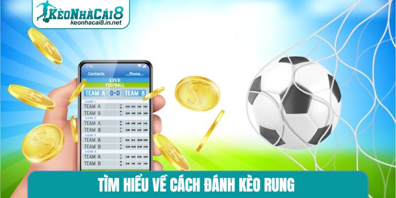 Tìm hiểu về cách đánh kèo rung 
