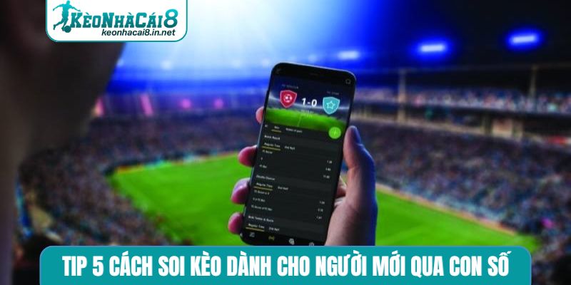 Tip 5 cách soi kèo dành cho người mới qua con số