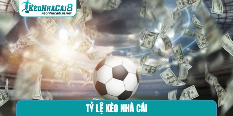 Tỷ Lệ Kèo Nhà Cái - 3 Cách Đọc Kèo Chuẩn Chính Nhất tỷ lệ kèo nhà cái