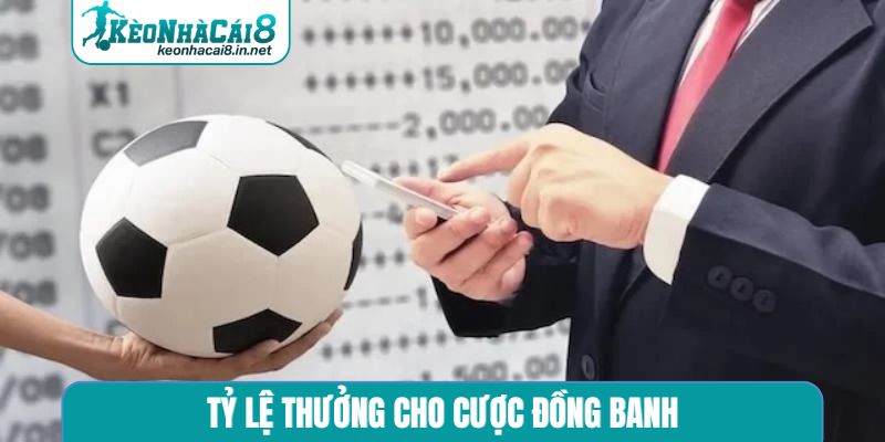 Tỷ lệ thưởng cho cược đồng banh