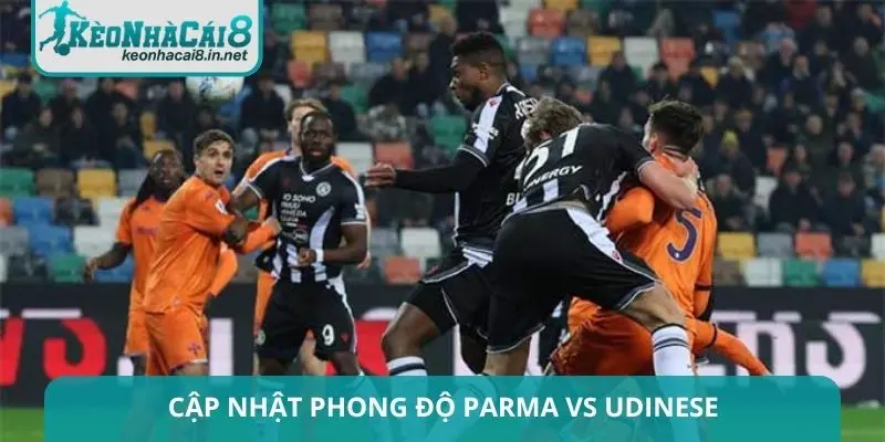 Cập nhật phong độ thời gian gần đây của Parma vs Udinese